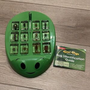 Real Bugs Bugs Discovery Kit